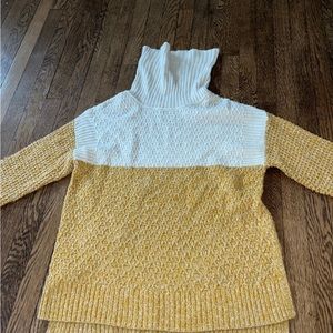 Turtleneck Sweater